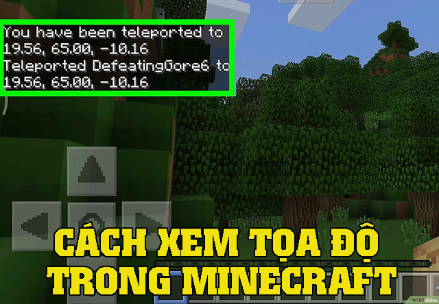 Những cách xem tọa độ trong Minecraft chuẩn xác nhất 1 cách xem tọa độ trong Minecraft