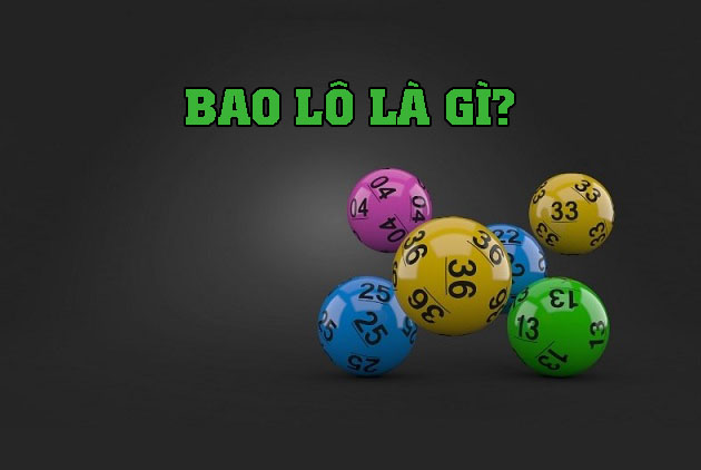 Bao lô là gì? Hướng dẫn chi tiết cho người mới nhập môn 1 bao lô là gì