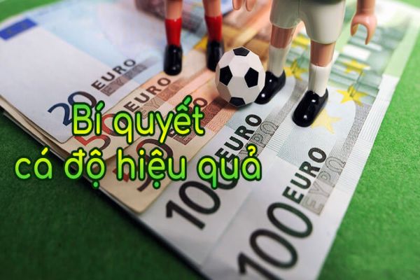 Thủ thuật cá độ bóng đá bách chiến bách thắng 1 Soi kèo sẽ là chiến thuật bất bại để tham gia cá độ bóng đá