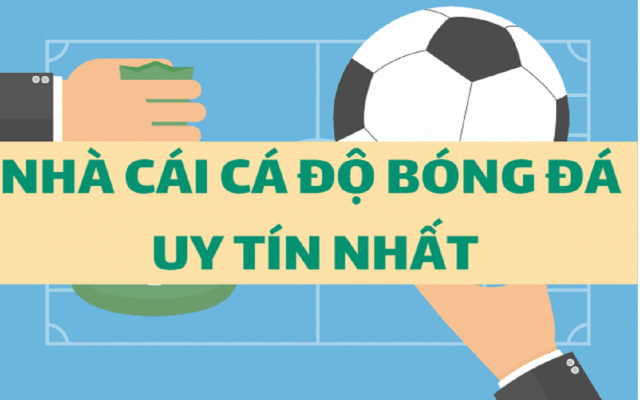 Nên lựa chọn nhà cái cá độ uy tín để yên tâm hơn Nên lựa chọn nhà cái cá độ uy tín để yên tâm hơn
