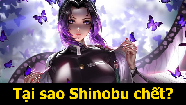 Hé mở nguyên nhân vì sao Shinobu chết trong Thanh gươm diệt quỷ 1 Shinobu là ai? Tại sao Shinobu chết?
