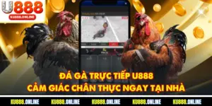 Đá Gà Trực Tiếp U888 - Cảm Giác Chân Thực Ngay Tại U888
